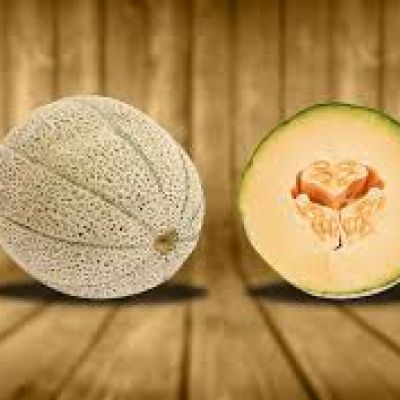cantaloup melon
