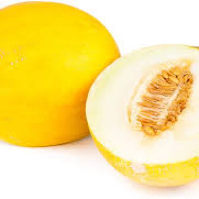 yellow melon 
